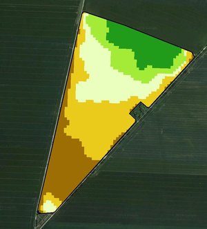Analiza satelitară a culturilor – Solorrow